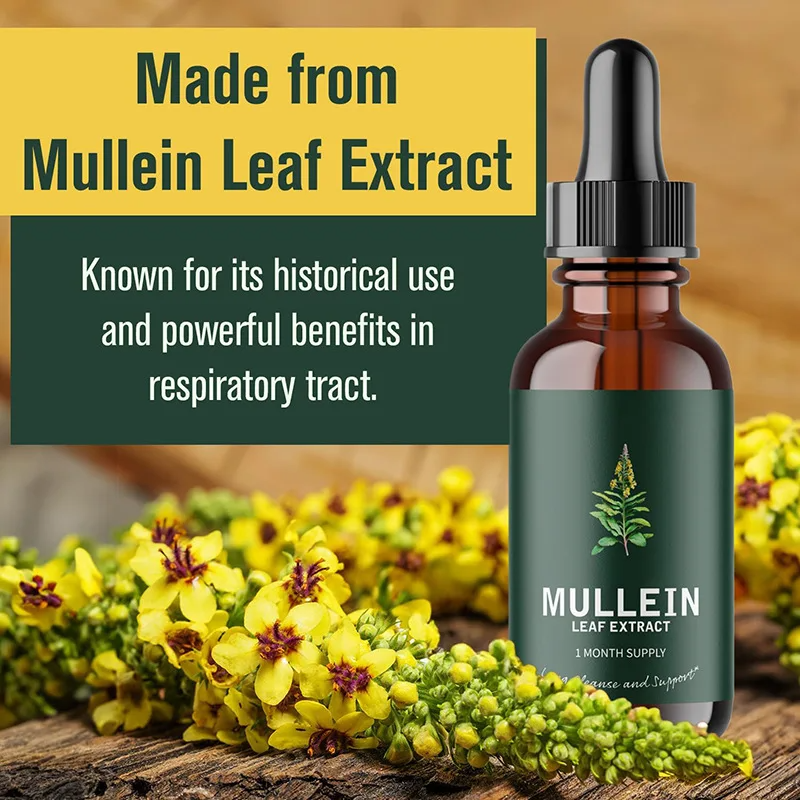 Organic Mullein Leaf Extract