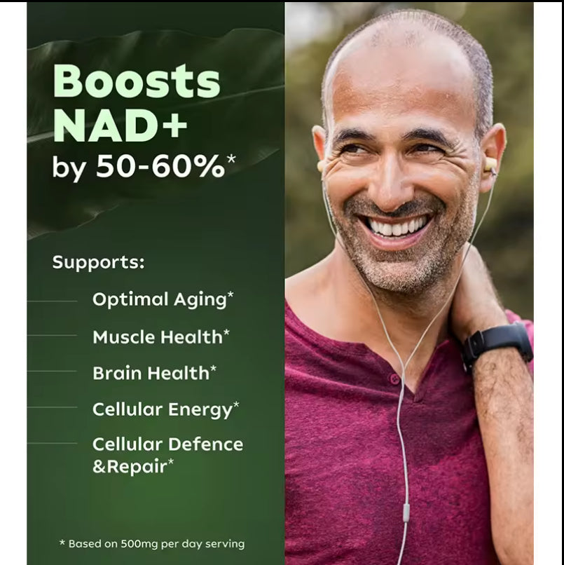 NAD+ Supplement