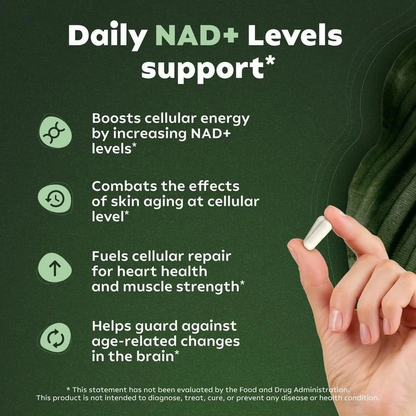 NAD+ Supplement